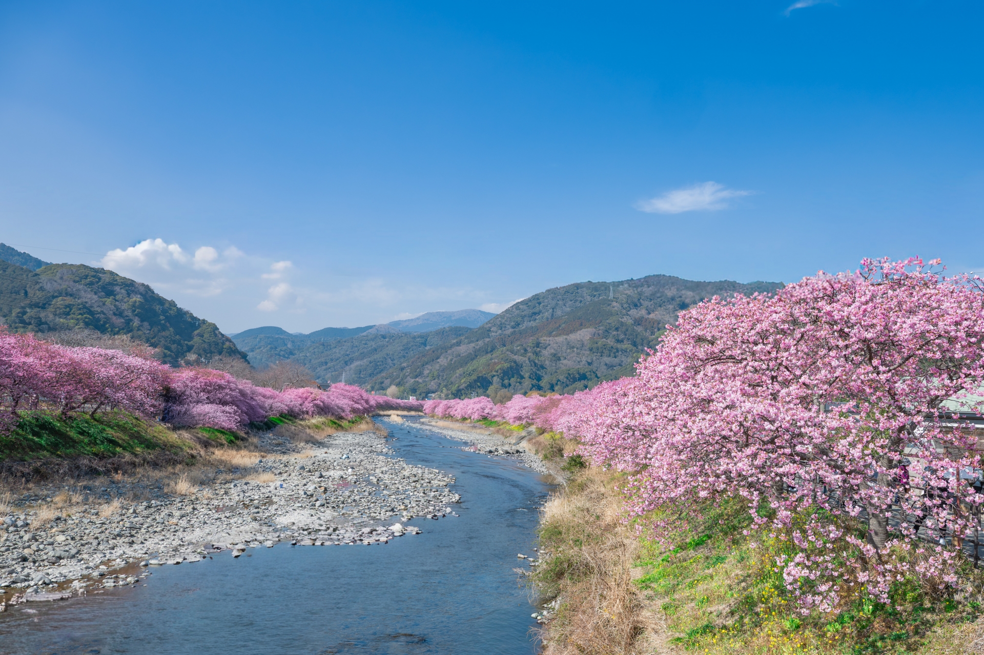 確定申告が終わった今、来年度に向けての一歩を踏み出そう！